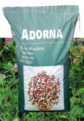 Adorna lucerna vetőmag - Szentgyörgymag Kft
