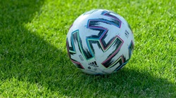 Fűmag sportoláshoz - Szentgyörgymag Kft