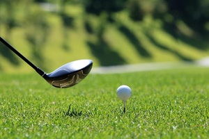 Golf fűmagkeverék - Szentgyörgymag Kft