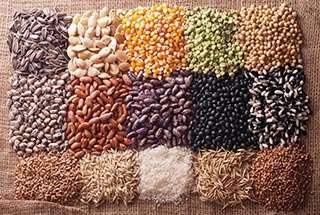 Mezőgazdaság résztvevői részére: vetőmag, lucernamag, lucerna vetőmag, fűmag, gabona, vetőmag termékeket, zöldítés, zöldtrágya vetőmag, zöldugar, AKG, AKG támogatás, AKG-gyorgymag