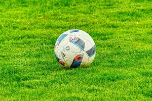 Sport fűkeverék - Szentgyörgymag Kft
