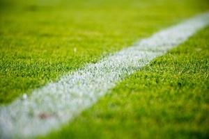 Sport fűmag - Szentgyörgymag Kft
